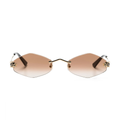 Polychromatic Sunglasses