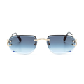 Polychromatic Sunglasses