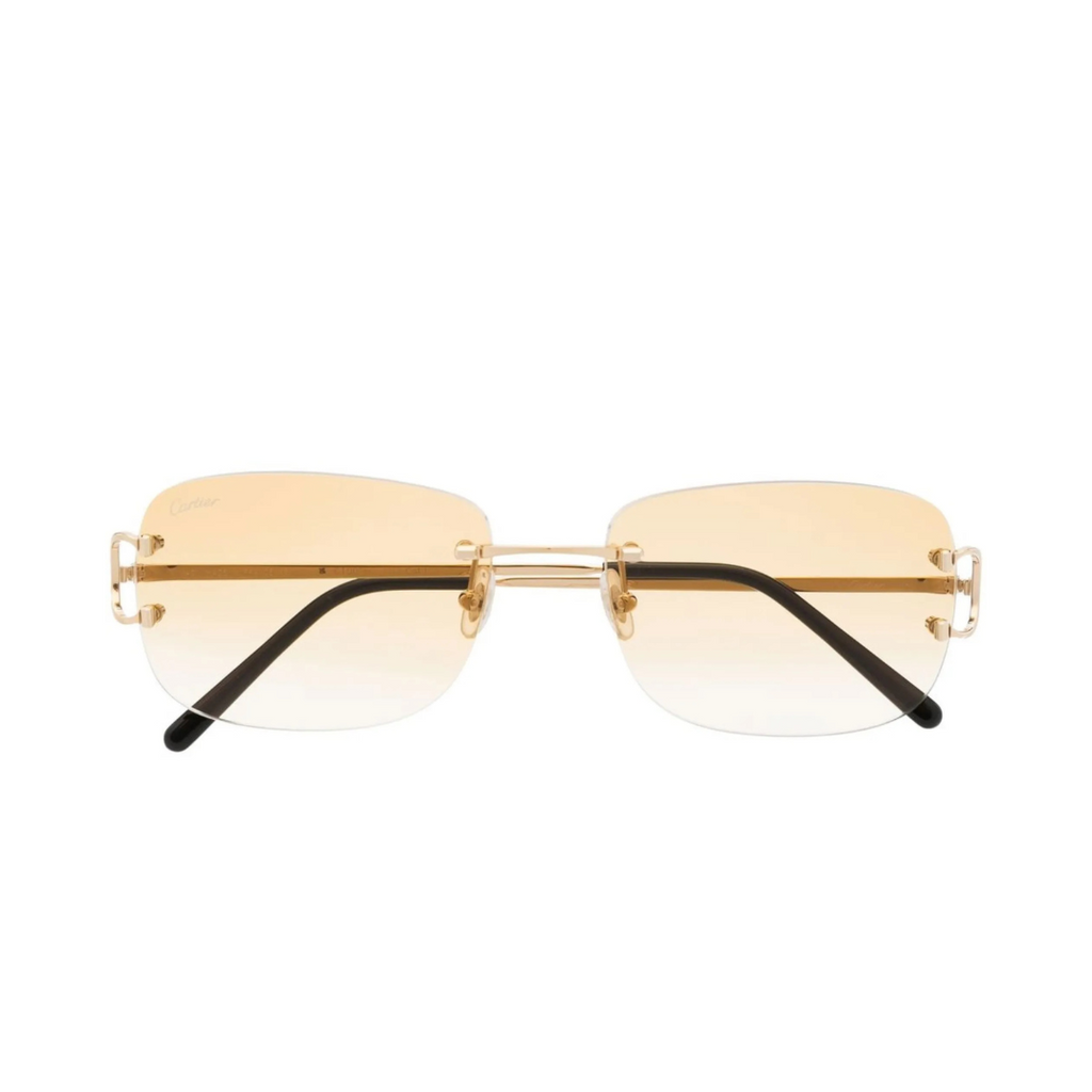 Monochromatic Sunglasses